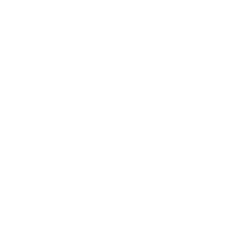 icono de seguridad fisica