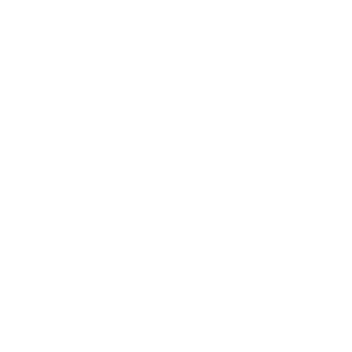 icono de autenticación correcta de datos